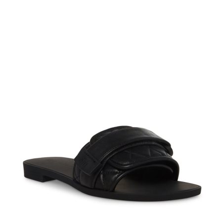 Black Steve Madden Janelle Women's Slides | PH 3142GFI